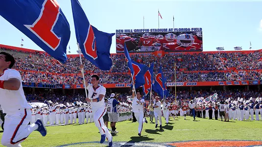 Flags Run Out Swamp