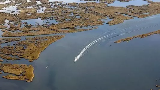 Louisiana Coastline - David Grunfeld, Nola.com