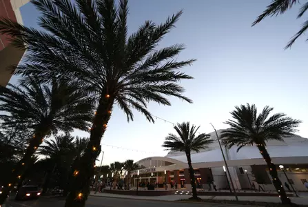 Exactech Arena - O'Connell Center - Opening Night