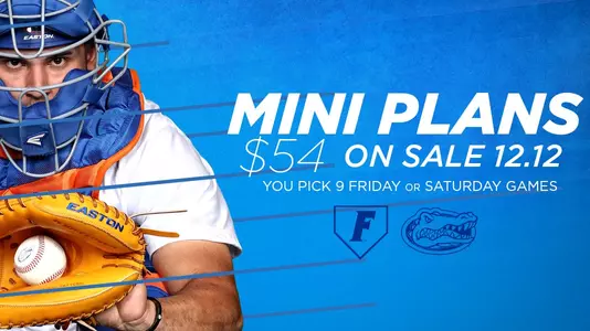 2017 baseball mini plans