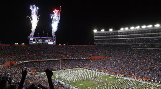The Swamp