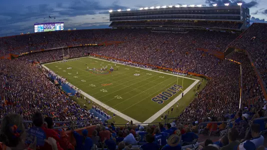 The Swamp