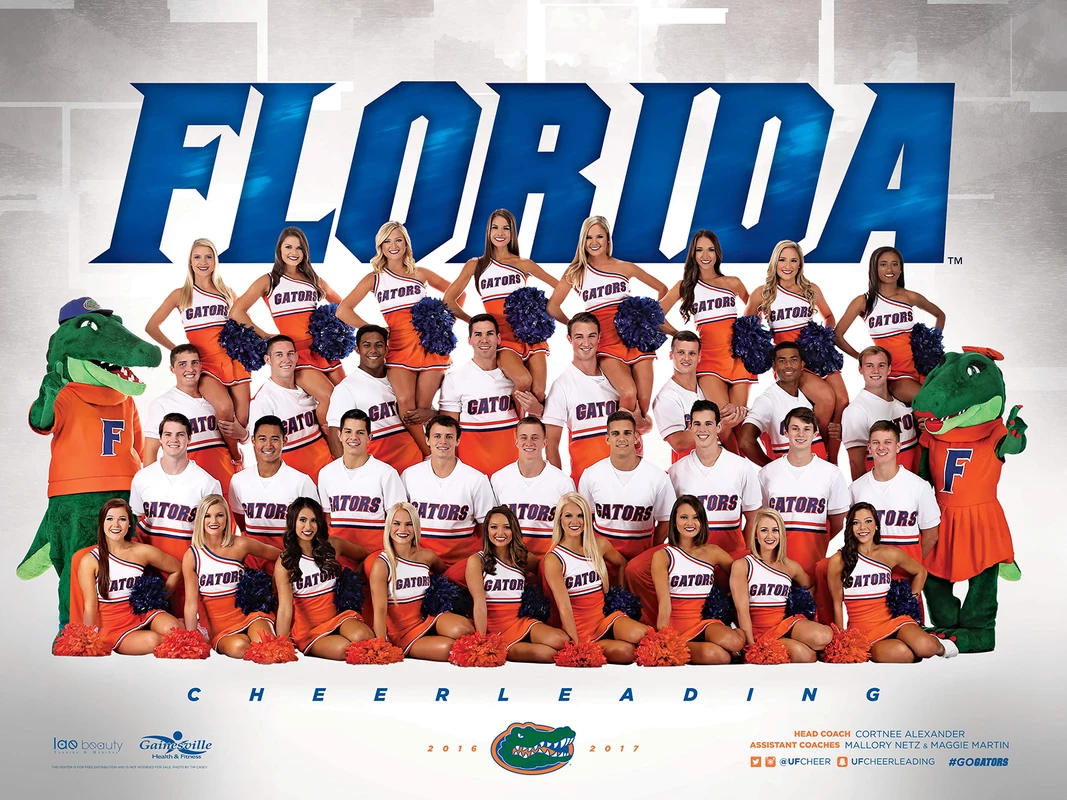 2016-17 Cheerleading Poster