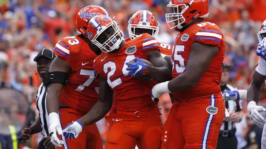 Gators