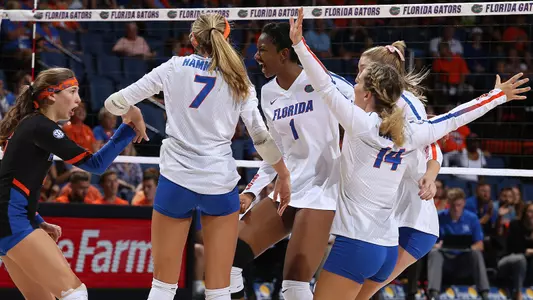 volleyball Happy Gators