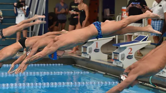 Dressel