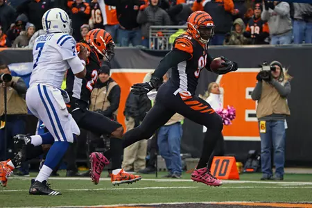 Carlos Dunlap, Bengals