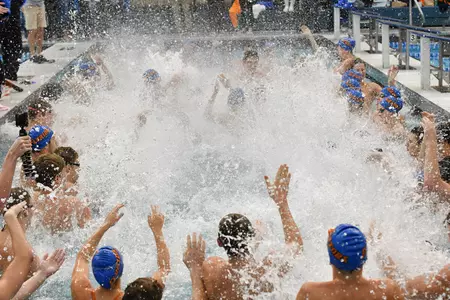 happy Gators