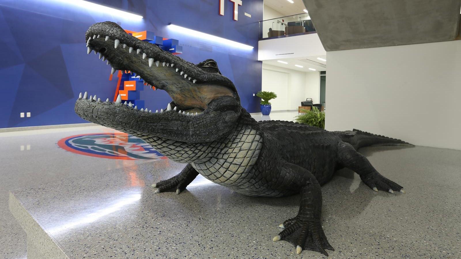 Fall Gator Gators Set Numerous Academic Records in Fall 2024 Term - Florida Gators