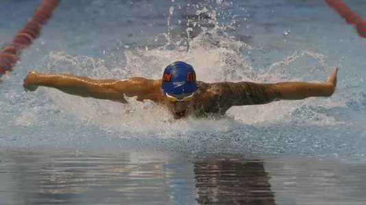 Dressel Fly