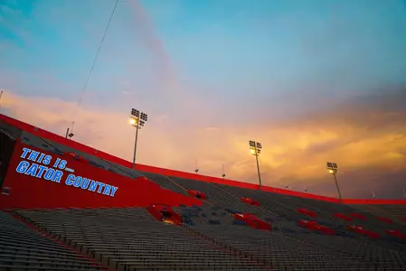 Swamp Signage (2017)