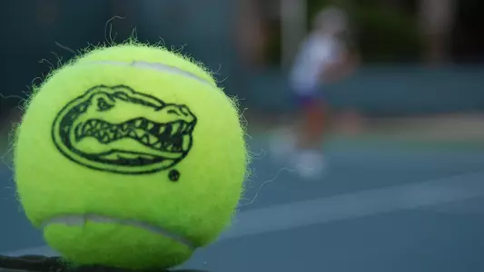 Gator tennis ball on court