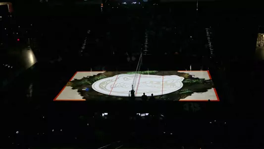 Court Projection