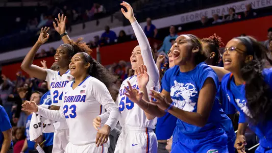 Happy Gators, bench