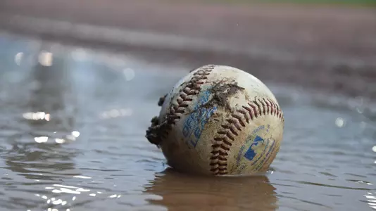 Baseball Rain Delay