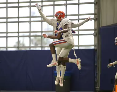 Gators Celebrate (2018 spring)