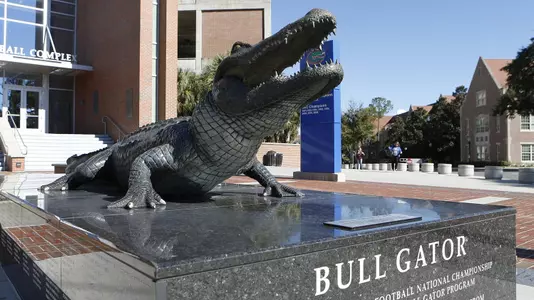 Bull Gator