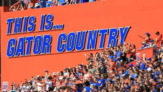 The swamp