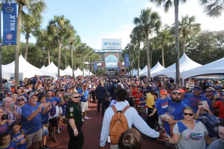 Gator Walk