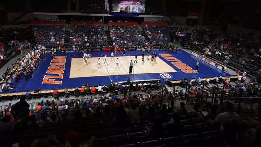 Arena