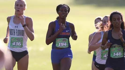 Pamela O'Brien - MDI