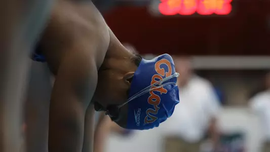 gators
