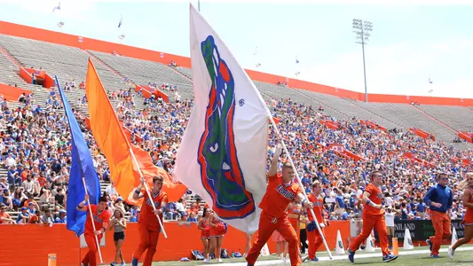 Gators Detail (2019 O&B Game)