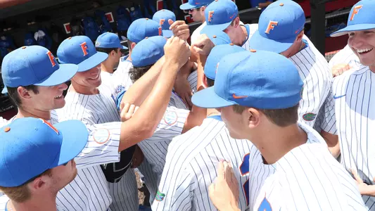 Baseball 2019 regional