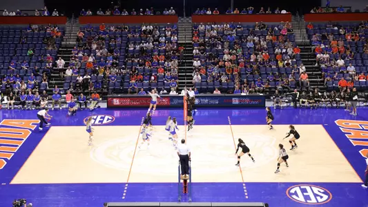 Arena