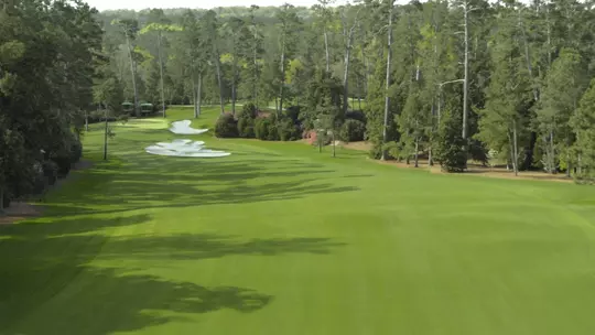 Augusta National Hole No. 10 - Camellia