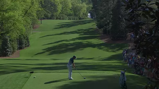 Augusta National Hole No. 11 - White Dogwood