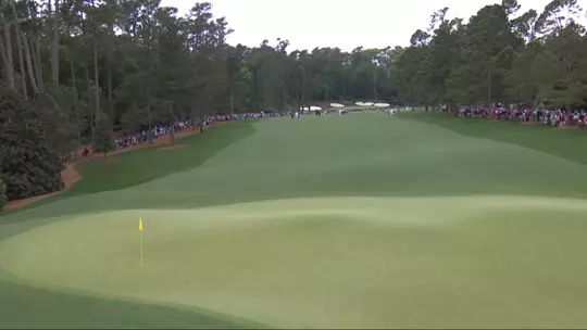 Augusta National Hole No. 14 - Chinese Fir Green