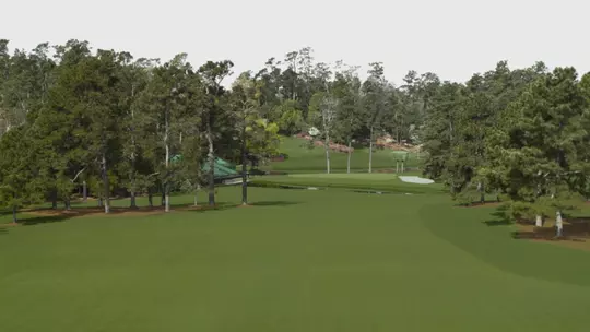 Augusta National Hole No. 15 - Firethorn