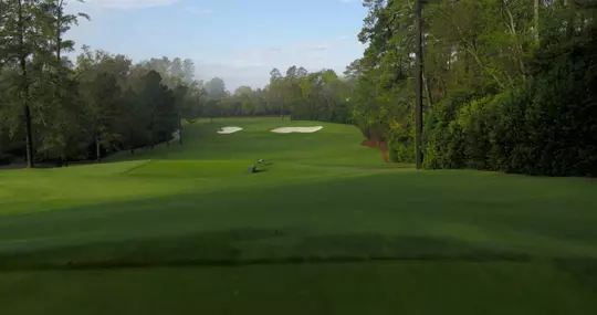 Augusta National Hole No. 4 - Flowering Crab Apple