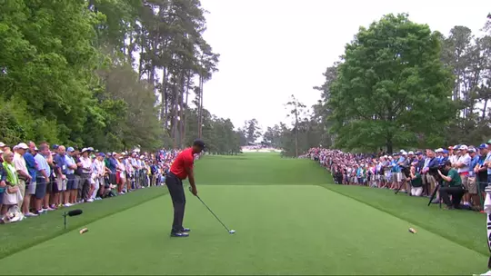 Augusta National Hole No. 7 - Pampas 2019