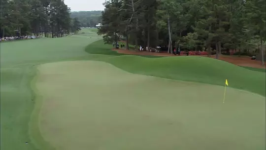 Augusta National Hole No. 8 - Yellow Jasmine Green