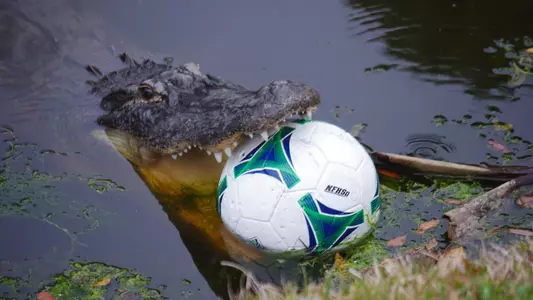 Alligator with soccer ball 2013