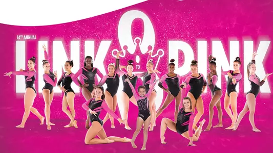 2020 Gators Link to Pink