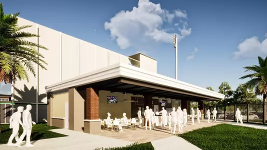 Dizney Grove Upgrades