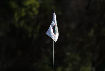 Flagstick
