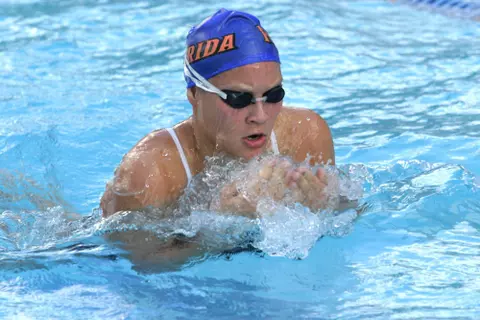 Vipa Bernhardt