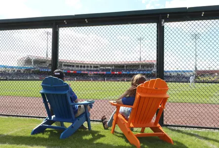 Florida Ballpark Dizney Grove