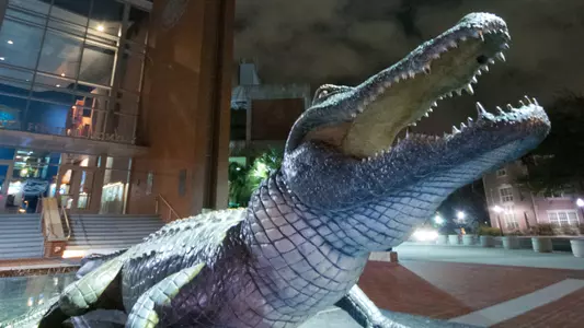 Bull Gator statue