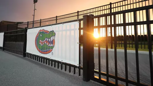 Gators Logo Sunset