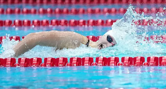 Swimming: FINA Swimming World Cup