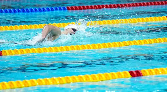 Swimming: FINA Swimming World Cup