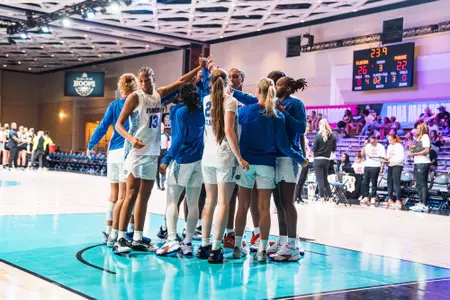 Gators in the Bahamas