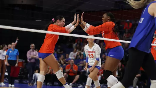 Gators vs. Wildcats