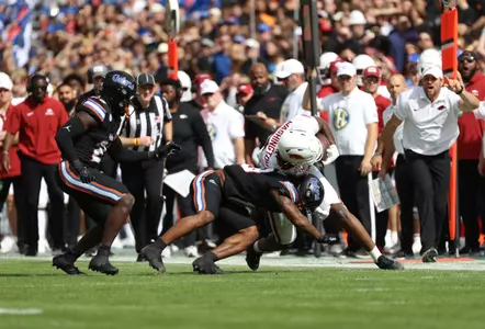 during the Gators' game against the Arkansas Razorback on Saturday, November 4, 2023 at Ben Hill Griffin Stadium in Gainesville, Fla. / UAA Communications photo by Gabriella Whisler