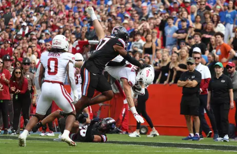 during the Gators' game against the Arkansas Razorback on Saturday, November 4, 2023 at Ben Hill Griffin Stadium in Gainesville, Fla. / UAA Communications photo by Gabriella Whisler